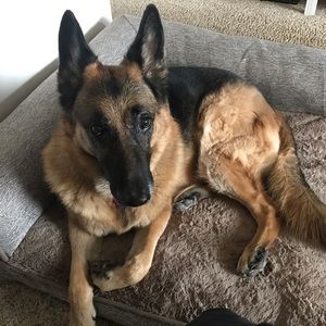 Meet your Posher, Maija